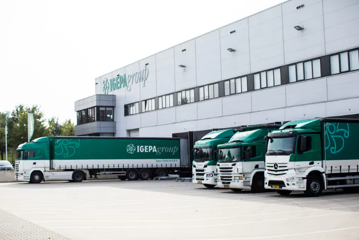 Digital strategy for Igepa